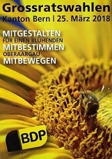 Bienenplakat MITGESTALTEN MITBEWEGEN MITBESTIMMEN.jpg
