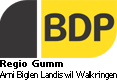 Logo BDP Region Gumm